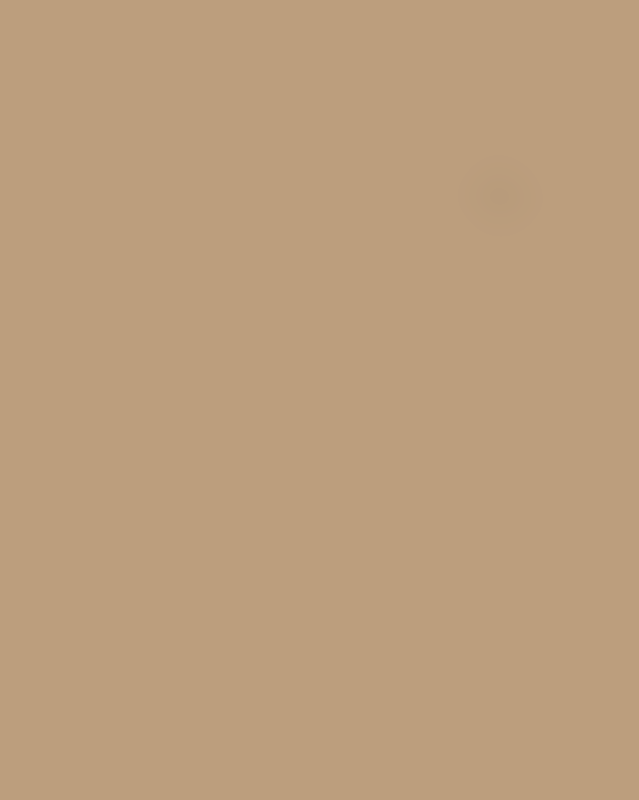 Sunny Studio Paris Amalia V Neck - Camel
