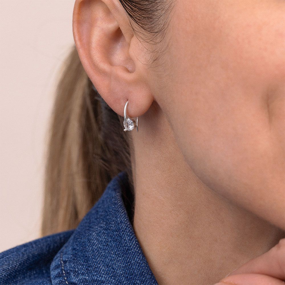 Vestopazzo Zircon Back Hook Earrings (KS3004) - Silver