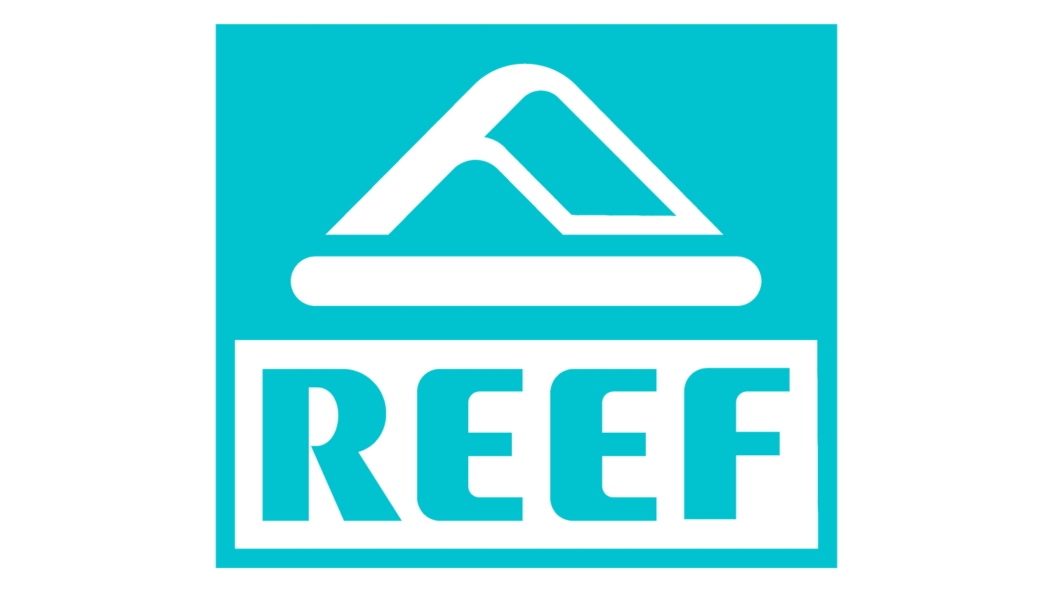 Reef