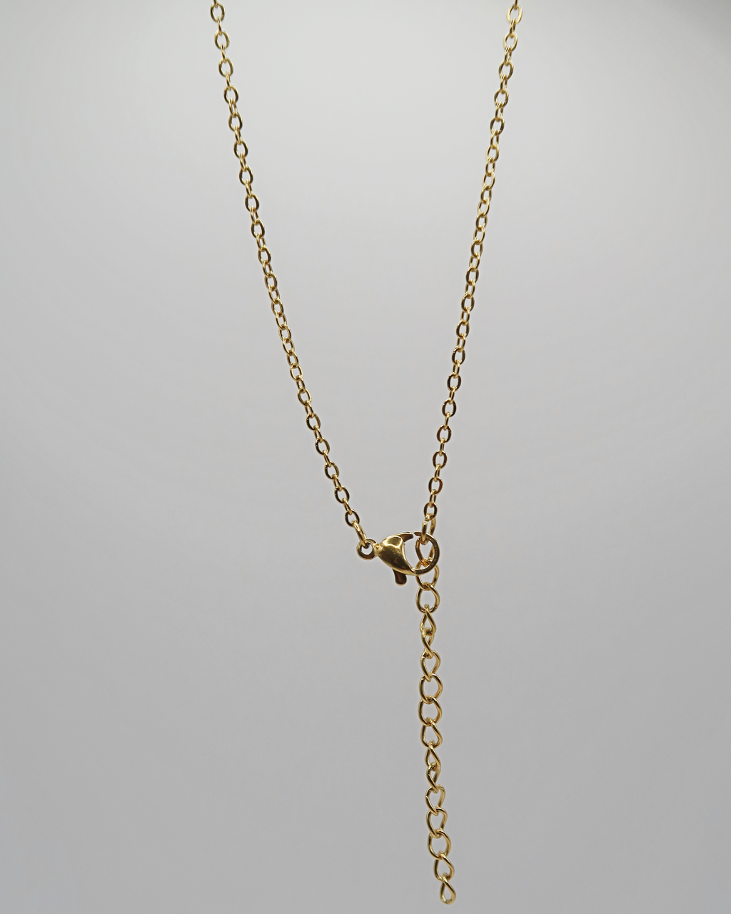 Humbleworks Olive Dog & Bone Charm Necklace - Gold
