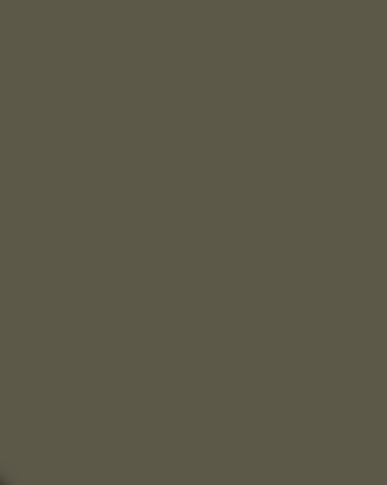 Sunny Studio Paris Annabella Pant - Khaki